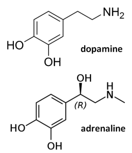 dopa-adrena